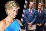 Pangeran William dan Harry Tak Dapat Warisan Rumah dari Putri Diana Gegara Sepupu