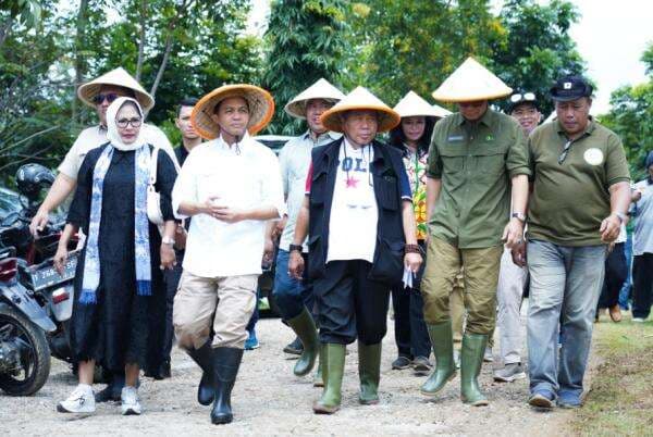 Program Ketahanan Pangan, 7 Juta Hektar Lahan Akan Dijadikan Perhutanan Sosial Program Ketahanan Pangan, 7 Juta Hektar Lahan Akan Dijadikan Perhutanan Sosial