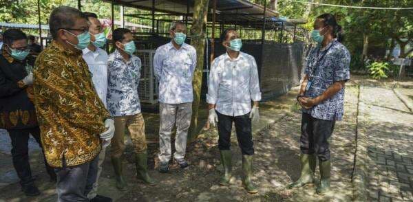 Menhut Raja Juli Cek Hewan yang Dikarantina di Pusat Penyelamatan Satwa Riau Menhut Raja Juli Cek Hewan yang Dikarantina di Pusat Penyelamatan Satwa Riau