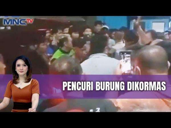 Pencuri Burung di Manggarai Selatan Babak Belur Diamuk Warga Pencuri Burung di Manggarai Selatan Babak Belur Diamuk Warga