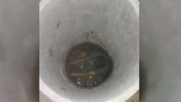 Takut Ditangkap Polisi, Pencuri di Madina Nekat Nyemplung ke Sumur Takut Ditangkap Polisi, Pencuri di Madina Nekat Nyemplung ke Sumur