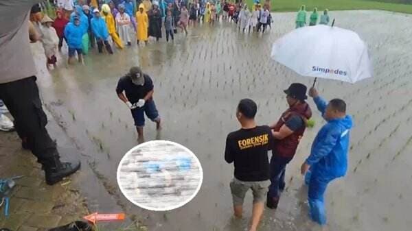 Gowa Gempar, Gadis Cantik Tewas di Sawah Penuh Luka Tusukan di Sekujur Tubuh