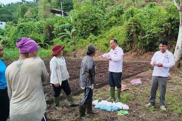 Wujudkan Ketahanan Pangan, Partai Perindo Kepulauan Mentawai Bantu Bibit dan Pupuk untuk Petani Wujudkan Ketahanan Pangan, Partai Perindo Kepulauan Mentawai Bantu Bibit dan Pupuk untuk Petani