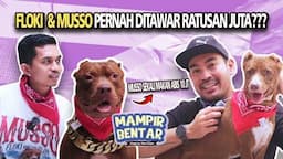 Perjalanan Emosional Shine dan Anjing Pitbull Kesayangannya Floki