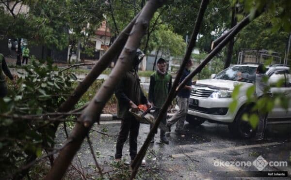 Jakarta Diterjang Angin Kencang, Pohon Tumbang Timpa Bengkel Motor di Cakung