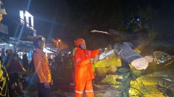 Pohon Tumbang di Gunung Putri Bogor Timpa Motor, 3 Orang Jadi Korban Pohon Tumbang di Gunung Putri Bogor Timpa Motor, 3 Orang Jadi Korban