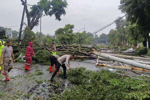 Hujan Angin Terjang Bogor, Sejumlah Pohon di Kompleks Pemkab Tumbang Hujan Angin Terjang Bogor, Sejumlah Pohon di Kompleks Pemkab Tumbang