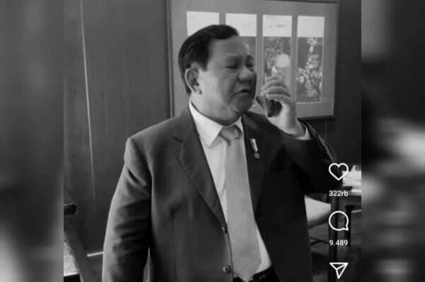 Prabowo Subianto Telepon Donald Trump, Ucapkan Selamat atas Kemenangan di Pilpres AS