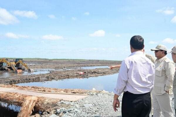 Prabowo Cek Program Cetak Sawah di Merauke, Optimistis Ciptakan Swasembada Pangan