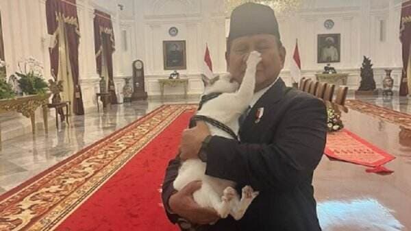 Momen Prabowo Digigit Bobby Kucing Kesayangan, Warganet: Paspampres Mana?