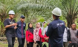 Program Sawit Terampil Dukung Petani Swadaya Penuhi Standar Berkelanjutan 