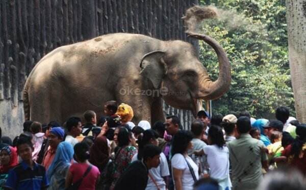 Libur Panjang, 100 Ribu Pengunjung Diprediksi Bakal Padati Ragunan