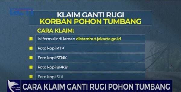 Korban Bencana Pohon Tumbang Bisa Klaim Ganti Rugi hingga Rp50 Juta 