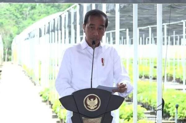 Sehari Setelah Kepala dan Wakil Otorita IKN Mengundurkan Diri, Jokowi Kunker ke Ibu Kota Nusantara