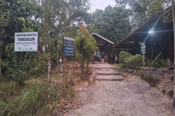 Sejahterakan Petani Sawit, IDH-Unilever Terapkan Program Aceh Tamiang Sustainable Landscape
