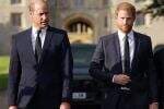 Sinyal Pangeran Harry Ingin Kembali ke Kerajaan Inggris Dicibir Teman William: Dia Sudah Tak Diinginkan