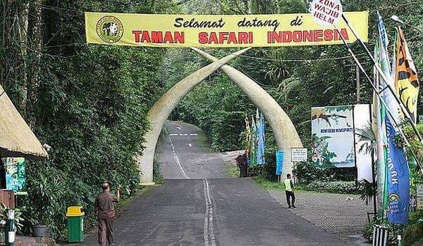 Taman Safari Indonesia Punya Siapa? Inilah Sosoknya Taman Safari Indonesia Punya Siapa? Inilah Sosoknya