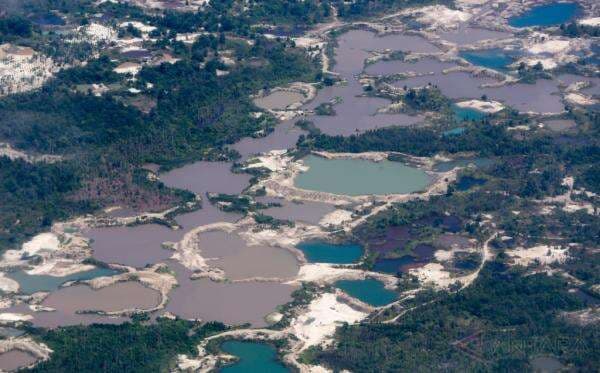 Jangan Jadi Warisan, Ini Cara Berantas Tambang Timah Ilegal di RI Jangan Jadi Warisan, Ini Cara Berantas Tambang Timah Ilegal di RI