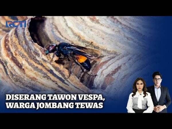 Warga Jombang Tewas Diserang Tawon Vespa