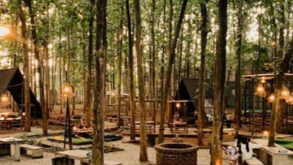 5 Tempat Nongkrong di Purwakarta, Nomor 3 Lokasinya di Tengah Hutan Jati 5 Tempat Nongkrong di Purwakarta, Nomor 3 Lokasinya di Tengah Hutan Jati