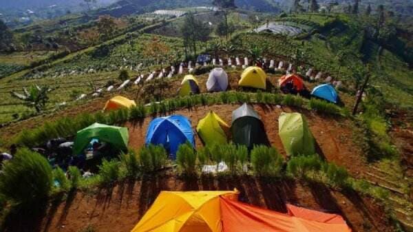 10 Tempat Wisata di Magelang yang Lagi Hits: Kemah Ceria di Silancur Highland 10 Tempat Wisata di Magelang yang Lagi Hits: Kemah Ceria di Silancur Highland