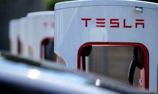 Tesla Tebang 500 Ribu Pohon demi Bangun Pabrik Kendaraan Ramah Lingkungan