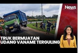 Warga Evakuasi Truk Bermuatan Udang Vaname Terguling di Bangka Barat