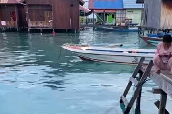 Viral! Momen Warga Pulau Derawan Beri Makan Penyu Langsung di Belakang Rumah, Netizen Iri