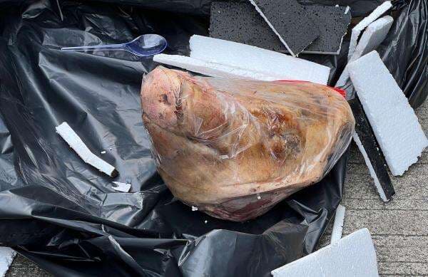 Teror Kepala Babi dan Bangkai Tikus di Kantor Tempo, PKB: Usut Tuntas! Teror Kepala Babi dan Bangkai Tikus di Kantor Tempo, PKB: Usut Tuntas!