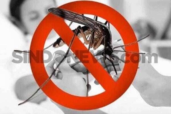 Waspada! Wabah Malaria Mengganas di Aceh Singkil, Puluhan Warga Terjangkit