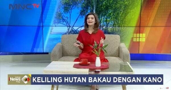 Serunya Berkano Telusuri Hutan Bakau di Denpasar Bali, Harga Sewa Terjangkau