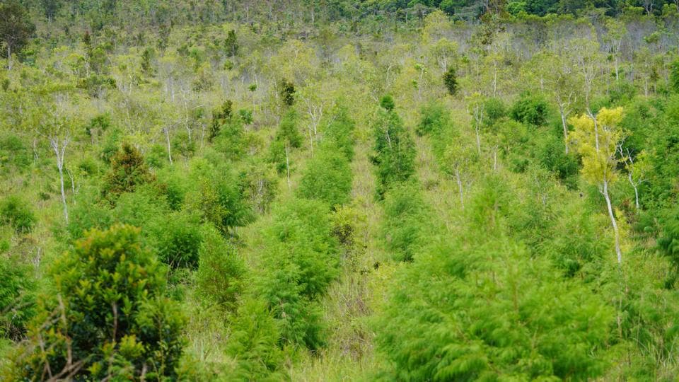 Bukti Bukan Sekedar Janji Kinerja Pengelolaan Das Dan Rehabilitasi Hutan Tahun 2023