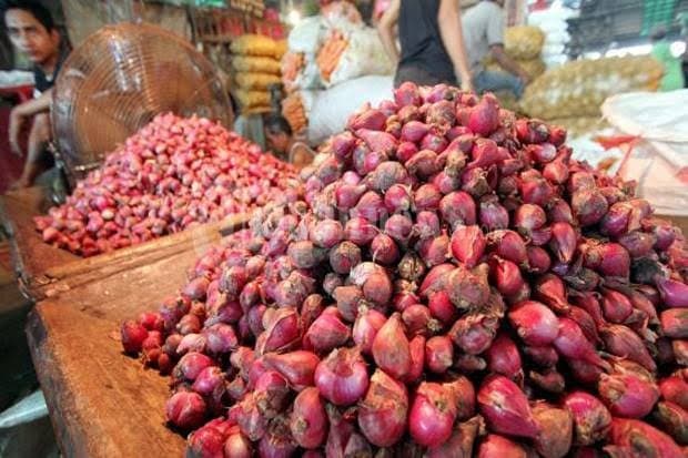 Update Harga Komoditas Pangan Hari Ini: Aneka Bawang, Beras, hingga Daging Turun Update Harga Komoditas Pangan Hari Ini: Aneka Bawang, Beras, hingga Daging Turun