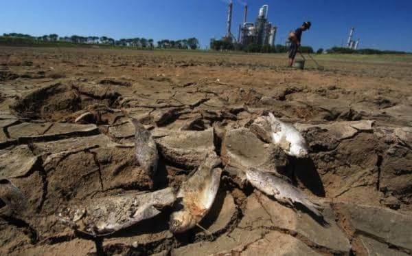 Hadapi Potensi El Nino, Pemerintah Pastikan Stok Cadangan Pangan Lebih Kuat Hadapi Potensi El Nino, Pemerintah Pastikan Stok Cadangan Pangan Lebih Kuat