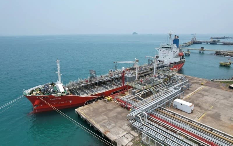 Laba CDIA Melejit Jadi Rp2,17 Triliun, Bisnis Logistik Tumbuh 551 Persen Laba CDIA Melejit Jadi Rp2,17 Triliun, Bisnis Logistik Tumbuh 551 Persen