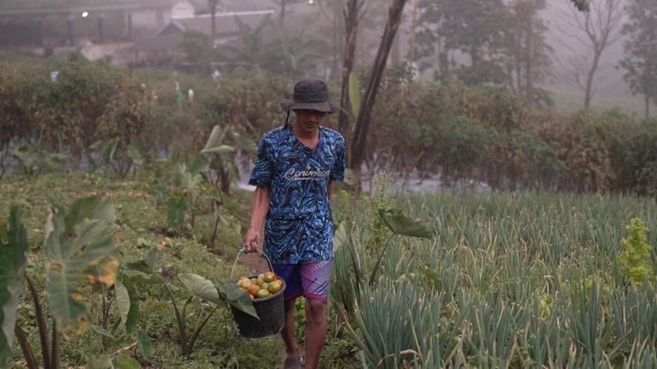 Kisah Petani Muda Boyolali yang Penjualannya Meningkat Berkat Program MBG Kisah Petani Muda Boyolali yang Penjualannya Meningkat Berkat Program MBG