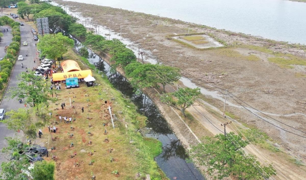 Mitigasi Bencana, BNPB Tanam 2.257 Bibit Pohon di Beberapa Wilayah Aceh Mitigasi Bencana, BNPB Tanam 2.257 Bibit Pohon di Beberapa Wilayah Aceh