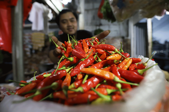 Bapanas Ungkap Lonjakan Harga Cabai Rawit Akibat Curah Hujan Tinggi dan Serangan Hama Bapanas Ungkap Lonjakan Harga Cabai Rawit Akibat Curah Hujan Tinggi dan Serangan Hama