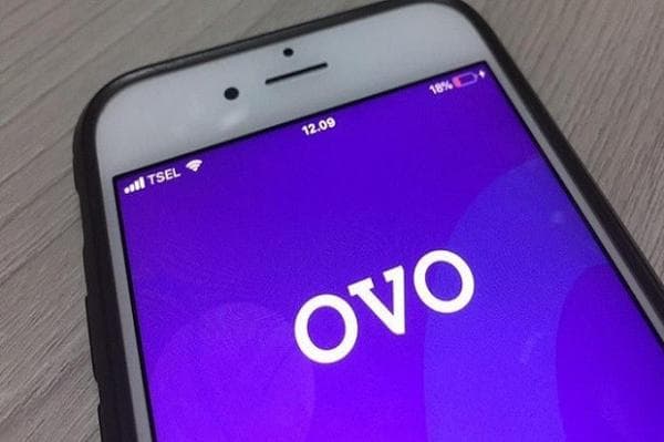 Top Up OVO Minimal Berapa? Yuk Intip Nilai Terkecilnya Top Up OVO Minimal Berapa? Yuk Intip Nilai Terkecilnya