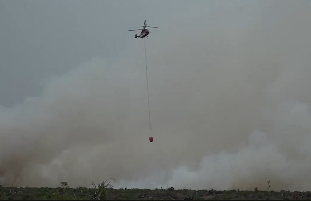 Karhutla di Riau Meluas, BNPB Catat 2.713 Hektare Ludes Terbakar Karhutla di Riau Meluas, BNPB Catat 2.713 Hektare Ludes Terbakar