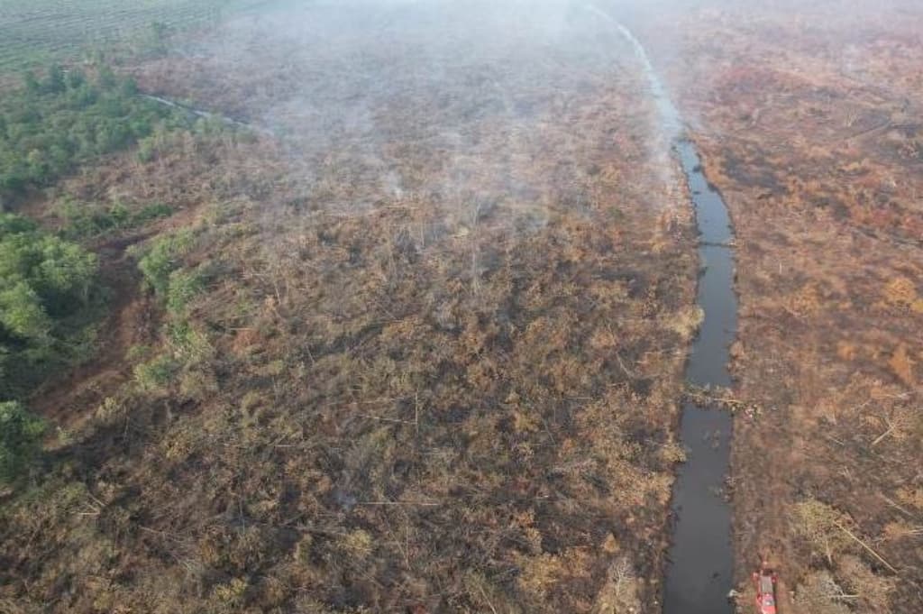 Karhutla Riau Meluas, 900 Hektare Lahan Terbakar Karhutla Riau Meluas, 900 Hektare Lahan Terbakar