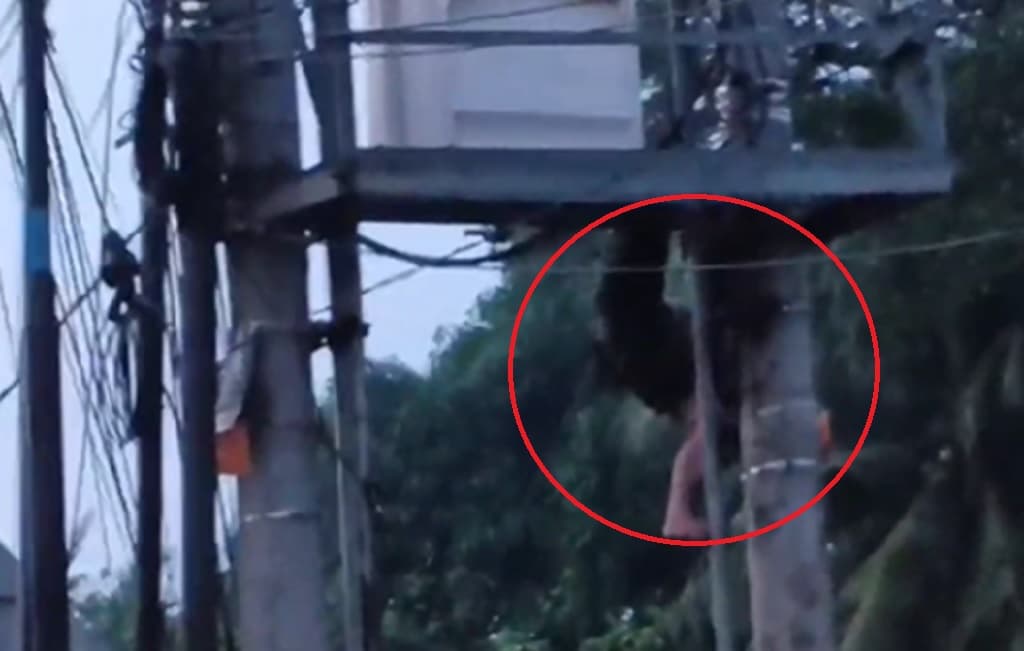 Viral Detik-Detik Pencuri Kabel di Jambi Gosong Terpanggang Listrik 20.000 Volt Viral Detik-Detik Pencuri Kabel di Jambi Gosong Terpanggang Listrik 20.000 Volt