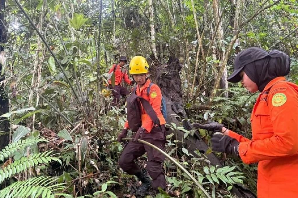Tim SAR Cari Remaja Hilang dalam Hutan di Mamuju, Kerahkan Drone Thermal Tim SAR Cari Remaja Hilang dalam Hutan di Mamuju, Kerahkan Drone Thermal