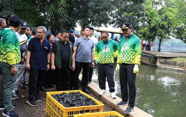 Cegah Ikan Sapu-Sapu Dijadikan Siomai, Ini Langkah Pemkot Jaksel Cegah Ikan Sapu-Sapu Dijadikan Siomai, Ini Langkah Pemkot Jaksel