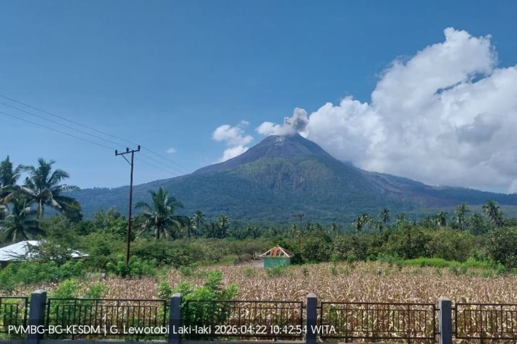 Gunung Lewotobi Laki-laki di NTT Erupsi, Muntahkan Abu Vulkanis Setinggi 300 Meter Gunung Lewotobi Laki-laki di NTT Erupsi, Muntahkan Abu Vulkanis Setinggi 300 Meter