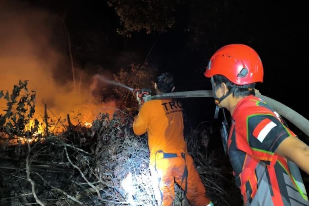 Karhutla di Kutai Barat Kaltim, 1 Hektare Lahan Perkebunan Terbakar Karhutla di Kutai Barat Kaltim, 1 Hektare Lahan Perkebunan Terbakar