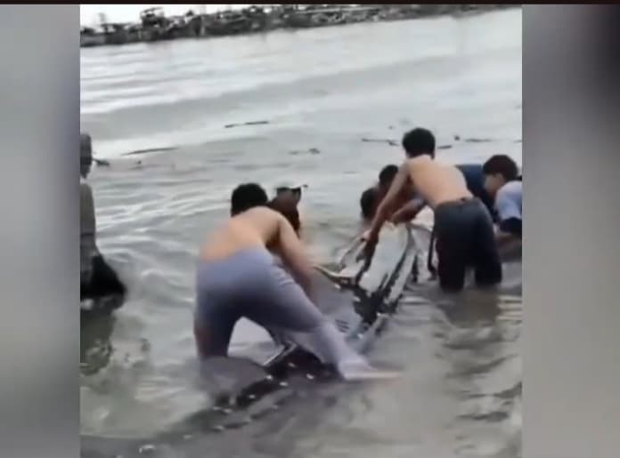 Viral Hiu Tutul Raksasa 15 Meter di Pantai Paciran Lamongan, Dievakuasi ke Laut Viral Hiu Tutul Raksasa 15 Meter di Pantai Paciran Lamongan, Dievakuasi ke Laut