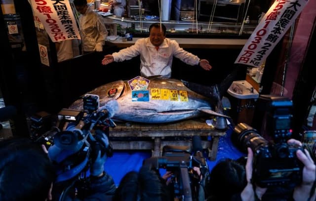 Rekor! Ikan Tuna Ini Terjual Rp55 Miliar dalam Lelang, Termahal di Dunia Rekor! Ikan Tuna Ini Terjual Rp55 Miliar dalam Lelang, Termahal di Dunia