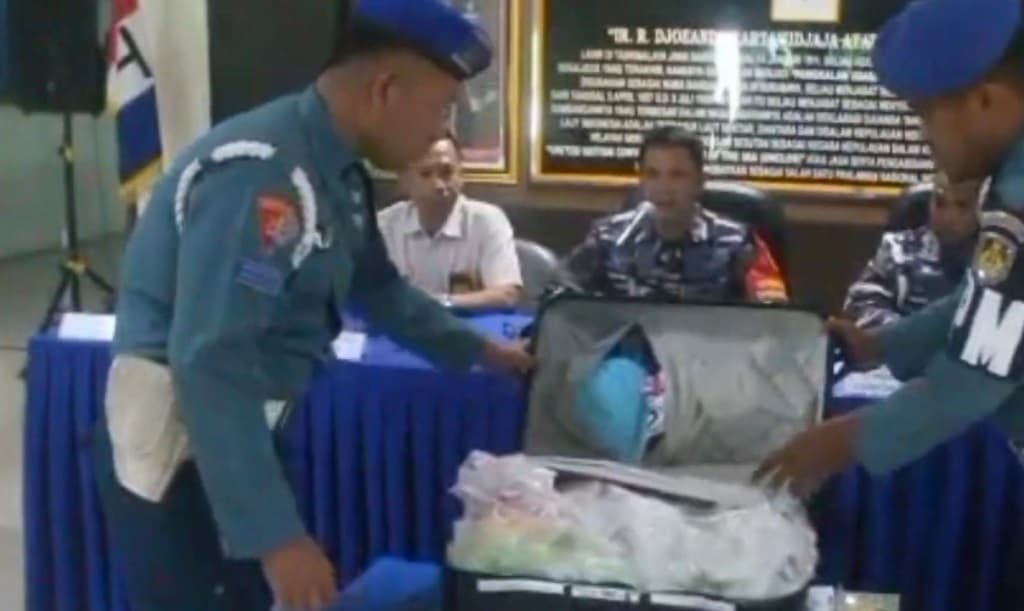 TNI AL Gagalkan Penyelundupan 39.000 Baby Lobster Senilai Rp1 Miliar di Bandara Juanda TNI AL Gagalkan Penyelundupan 39.000 Baby Lobster Senilai Rp1 Miliar di Bandara Juanda
