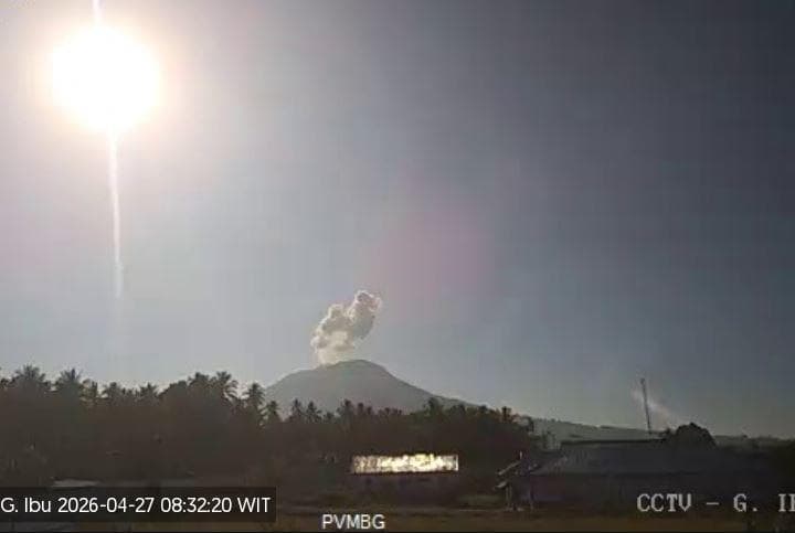 Gunung Ibu Erupsi, Tinggi Kolom Abu Vulkanis Capai 600 Meter Gunung Ibu Erupsi, Tinggi Kolom Abu Vulkanis Capai 600 Meter